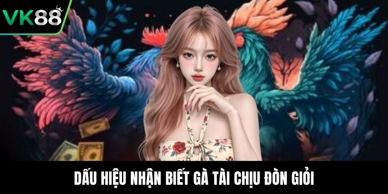 Dấu hiệu nhận biết gà tài chịu đòn giỏi