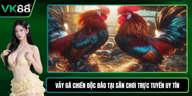 Vảy gà chiến